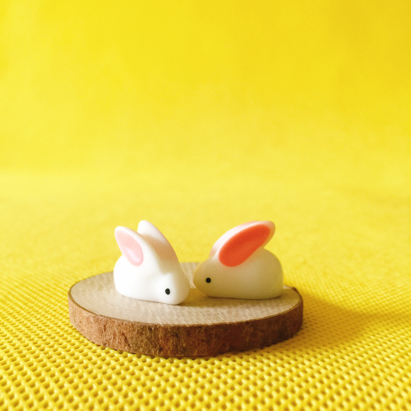 2 stuks schattig konijntje min - Resin Craft Supplies recensie en prijs