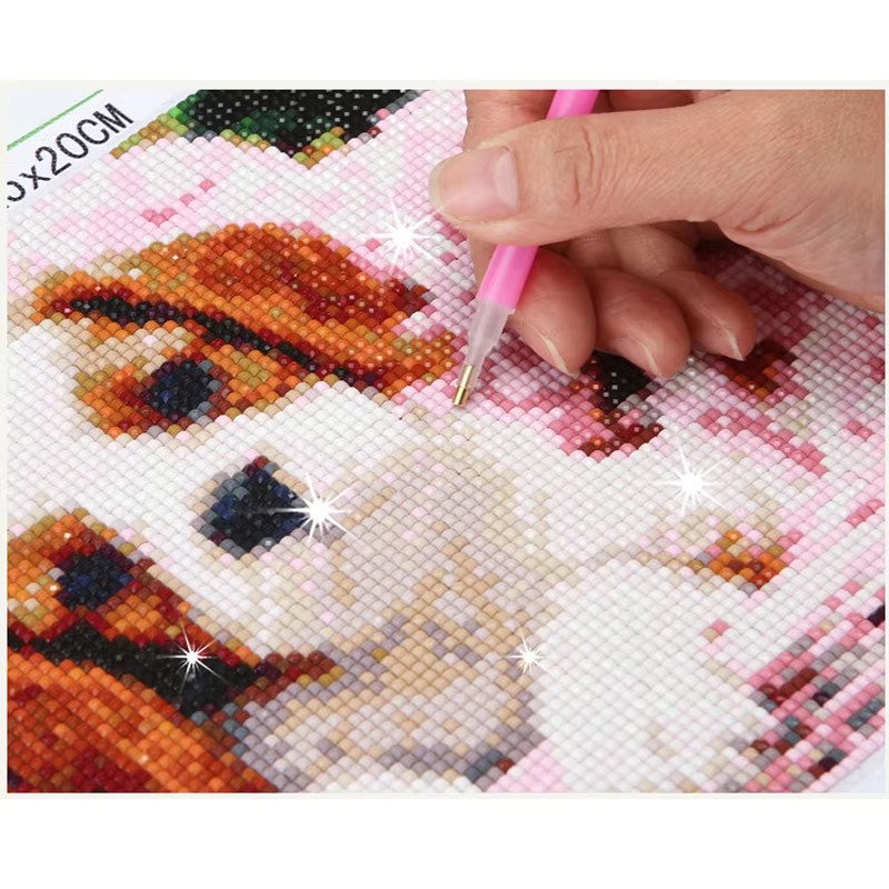 Volledige Diamond schilderij d - Resin Craft Kit recensie en prijs