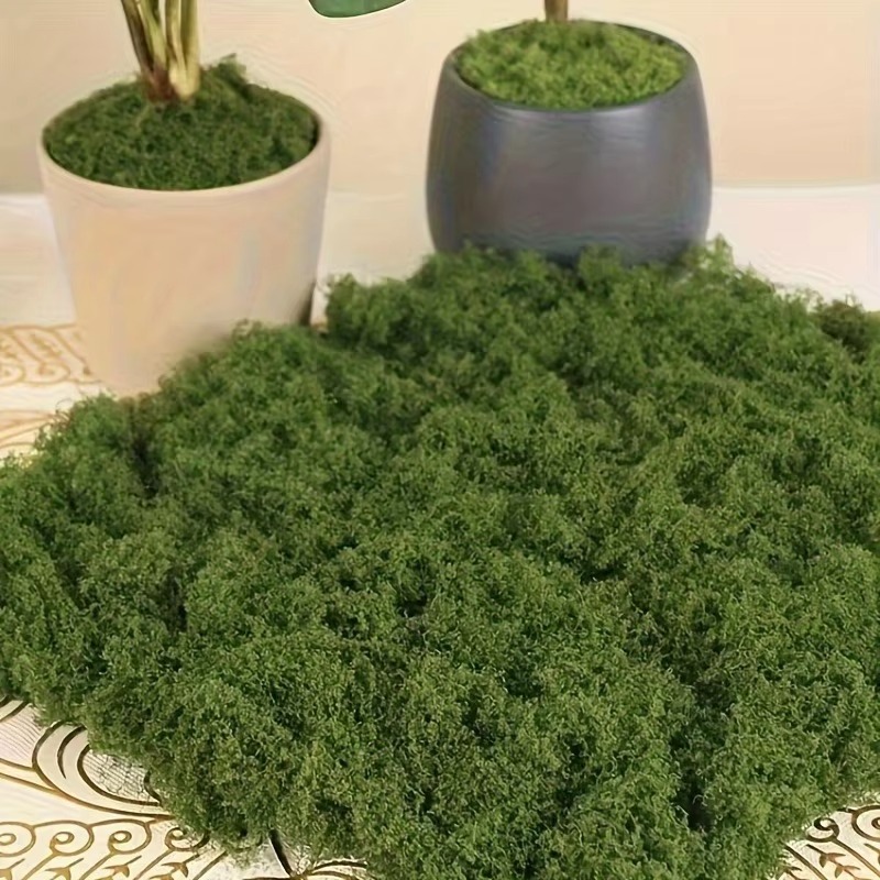 50g Groen Nep Mos DIY Ambachte - Terrarium Moss Art recensie en prijs