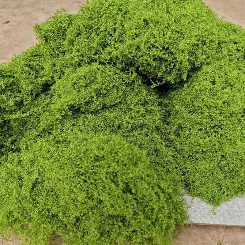 50g Groen Nep Mos DIY Ambachte - Terrarium Moss Art recensie en prijs