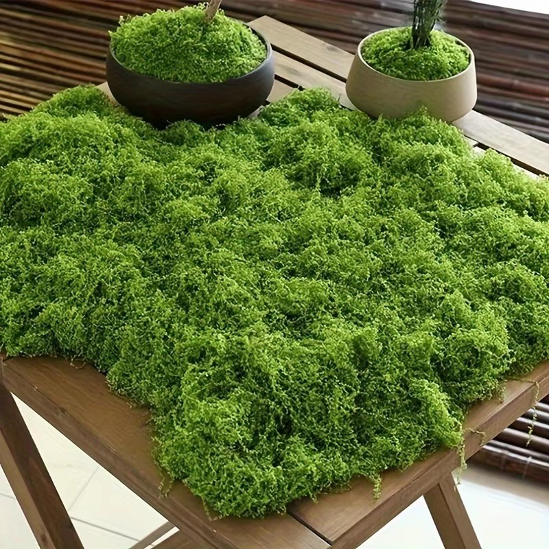 50g Groen Nep Mos DIY Ambachte - Terrarium Moss Art recensie en prijs