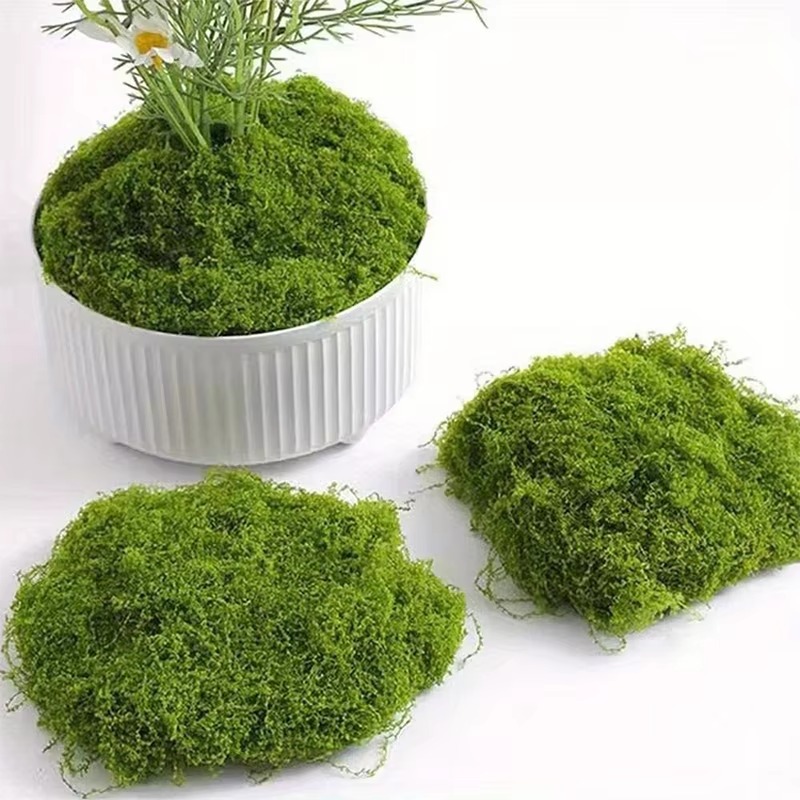 50g Groen Nep Mos DIY Ambachte - Terrarium Moss Art recensie en prijs